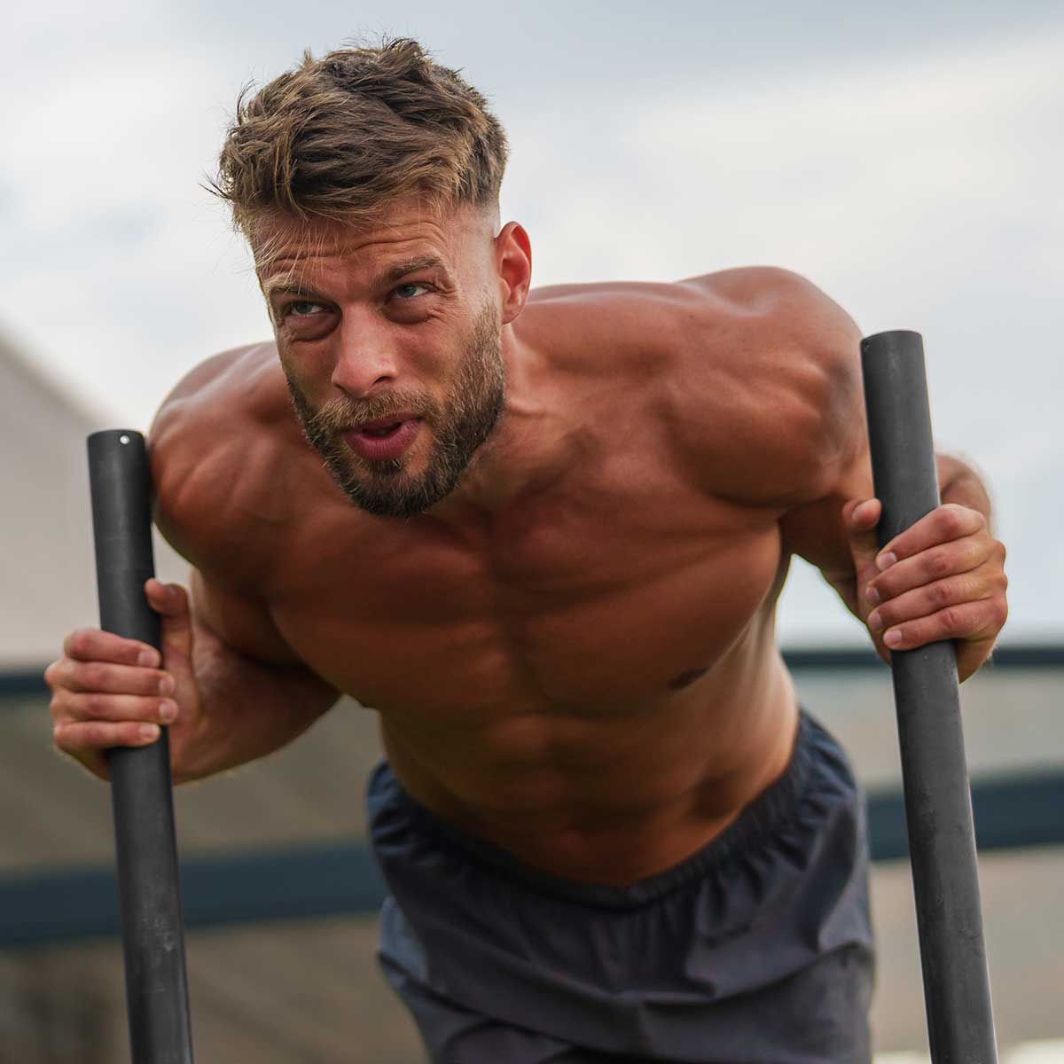 Power Sled / Prowler - Image 5