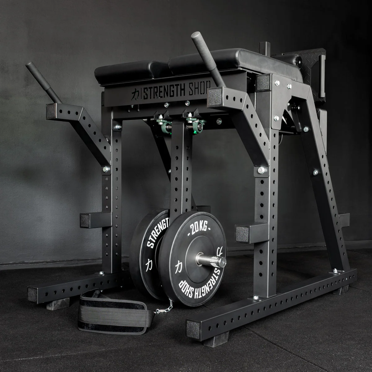 Reverse Hyper / GHD Combo Machine - Image 3