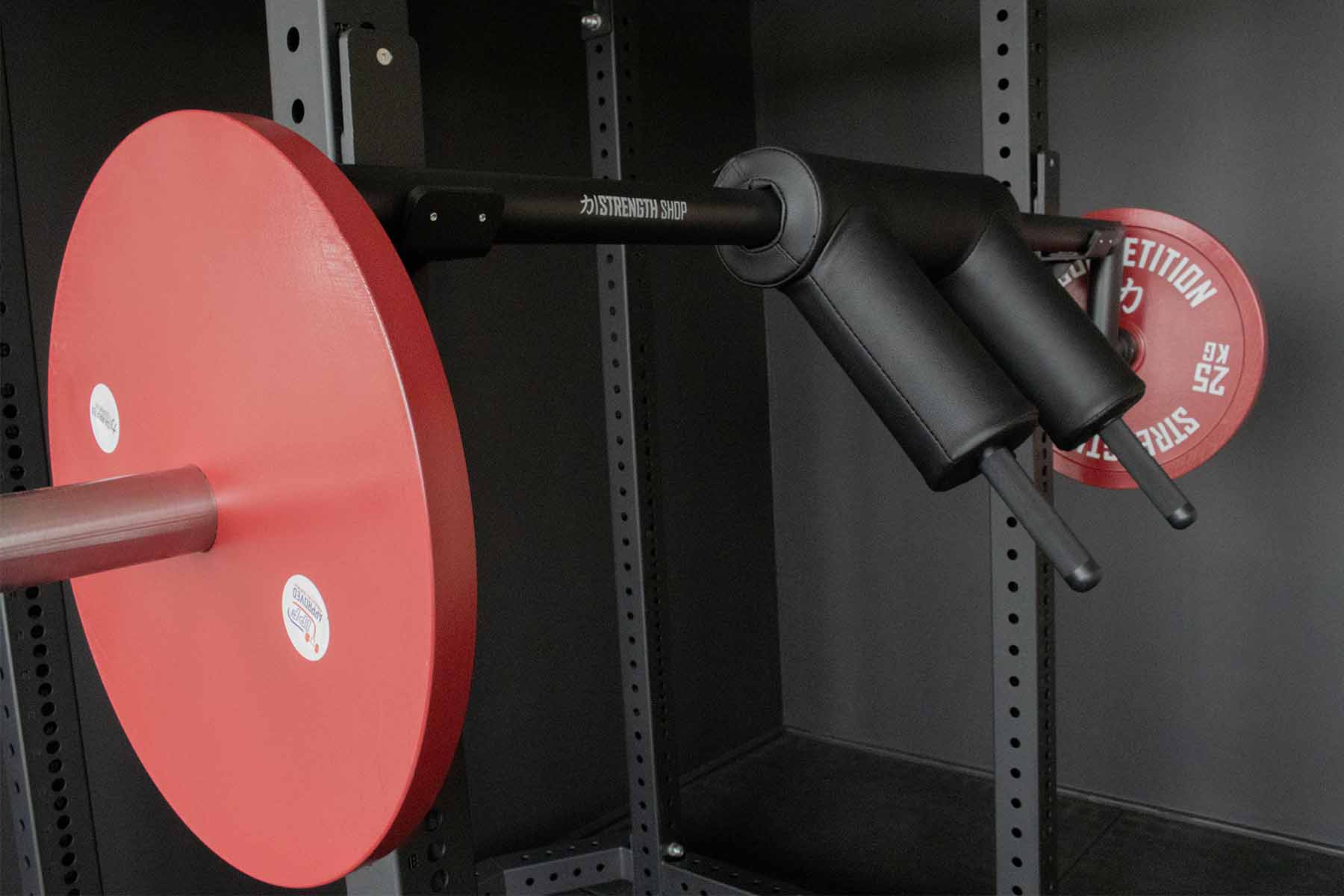 Riot Olympic Safety Squat Bar - Image 9