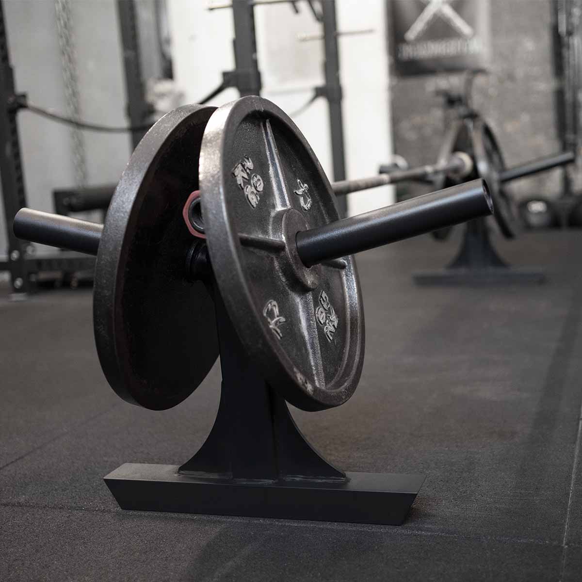 Silver Dollar Deadlift Attachments, Pair - Image 3
