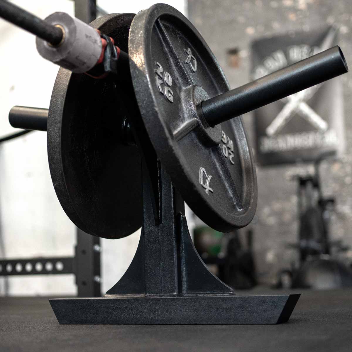 Silver Dollar Deadlift Attachments, Pair - Image 4