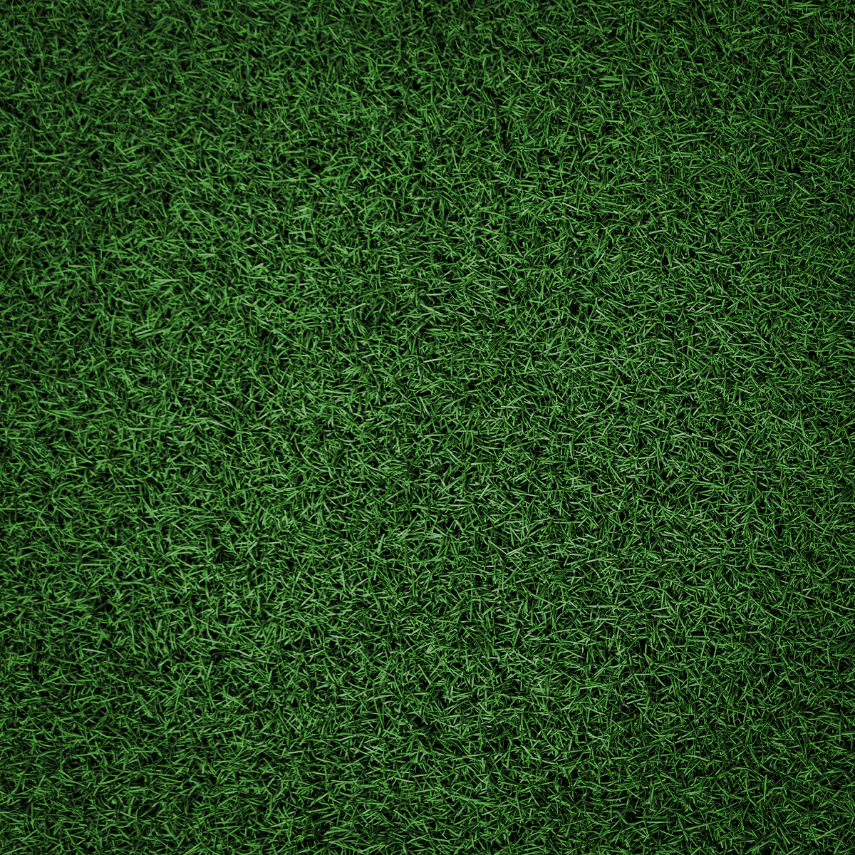 Premium Sprint Tracks (2m x 10/20m) – PREORDER - Ships Separately - Image 7